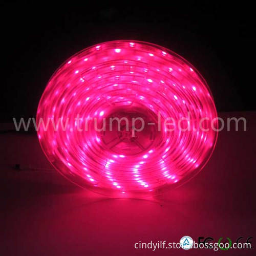 low price flexible led 12v car lighting strip light china